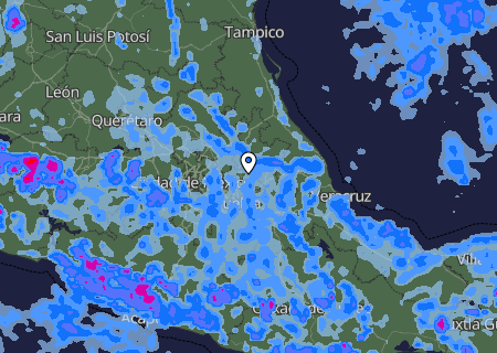 Niederschlagsprognose