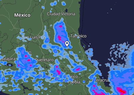 Niederschlagsprognose