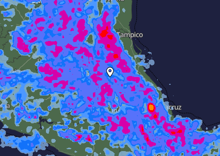 Niederschlagsprognose