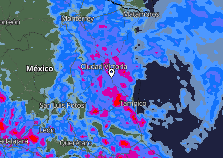 Niederschlagsprognose Niederschlagsprognose