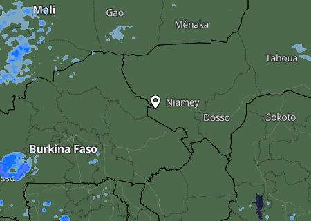 Niederschlagsprognose
