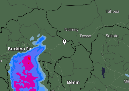 Niederschlagsprognose