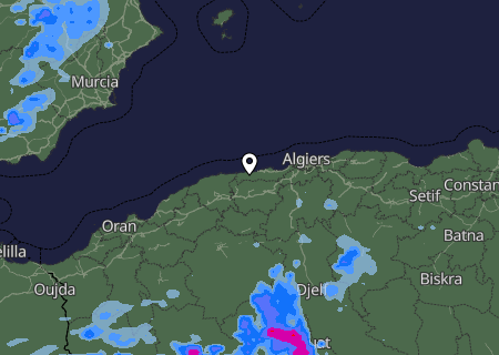 Niederschlagsprognose