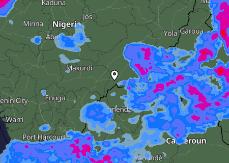 Niederschlagsprognose