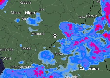 Niederschlagsprognose