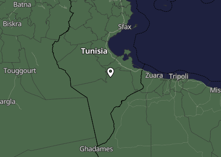 Niederschlagsprognose