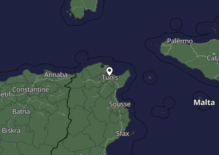 Niederschlagsprognose
