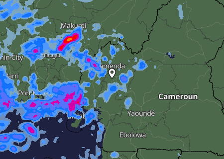 Niederschlagsprognose