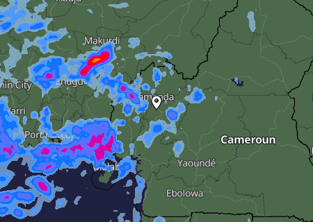 Niederschlagsprognose