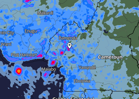 Niederschlagsprognose Niederschlagsprognose