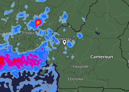 Niederschlagsprognose