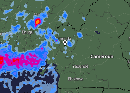 Niederschlagsprognose