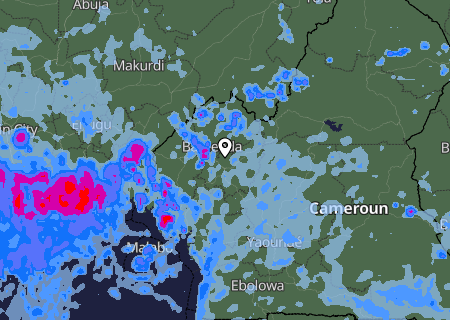 Niederschlagsprognose