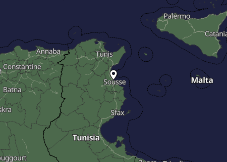 Niederschlagsprognose