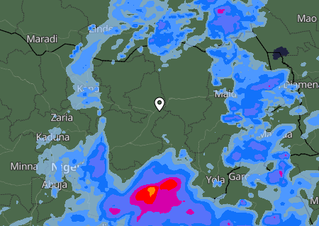 Niederschlagsprognose