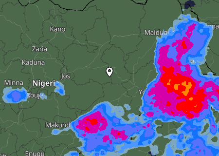 Niederschlagsprognose