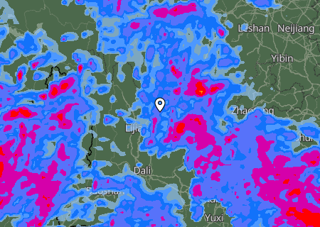 Niederschlagsprognose