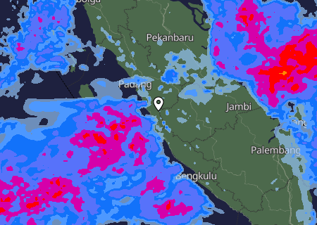 Niederschlagsprognose