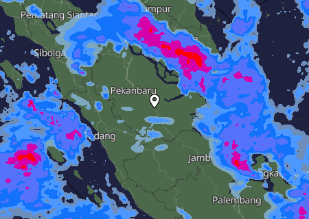 Niederschlagsprognose Niederschlagsprognose