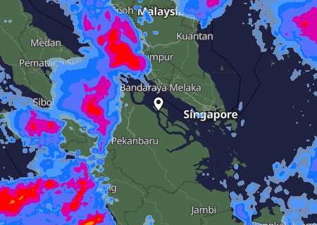 Niederschlagsprognose