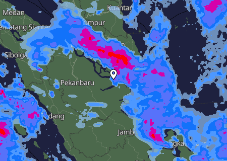 Niederschlagsprognose