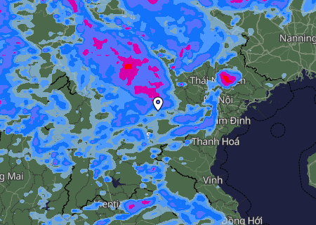 Niederschlagsprognose