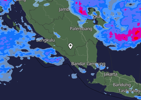 Niederschlagsprognose