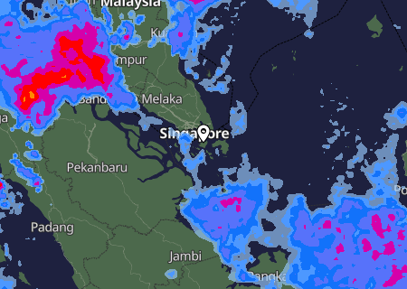 Niederschlagsprognose