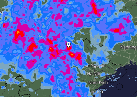 Niederschlagsprognose