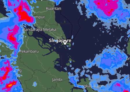 Niederschlagsprognose