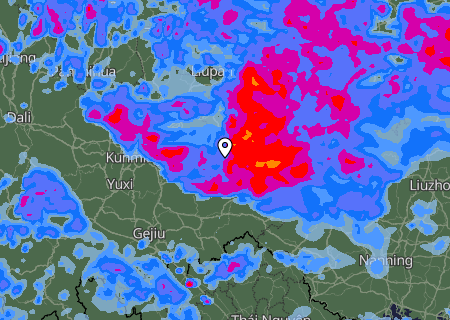 Niederschlagsprognose