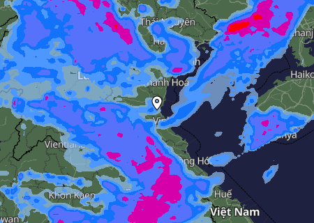 Niederschlagsprognose