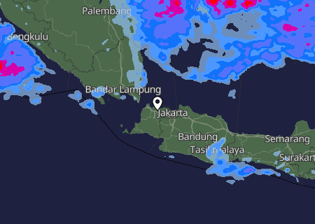 Niederschlagsprognose