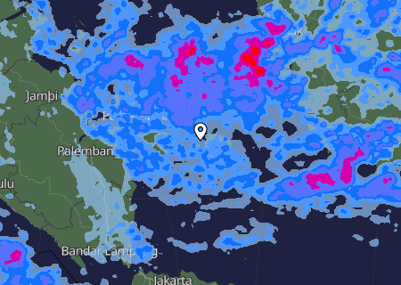 Niederschlagsprognose