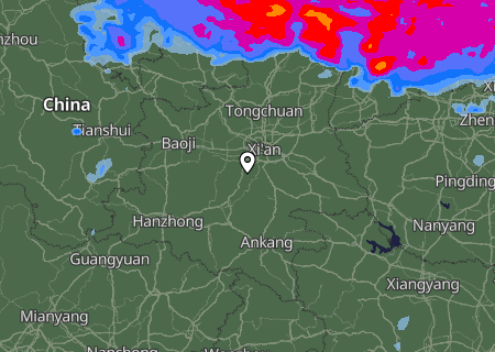 Niederschlagsprognose