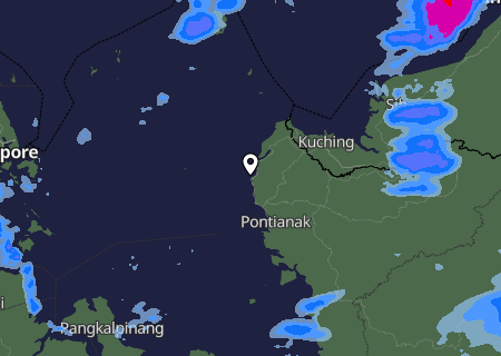 Niederschlagsprognose