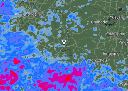 Niederschlagsprognose