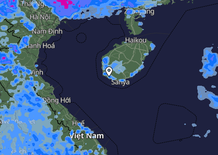 Niederschlagsprognose