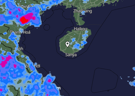 Niederschlagsprognose