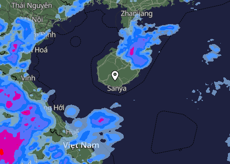Niederschlagsprognose