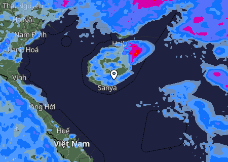 Niederschlagsprognose