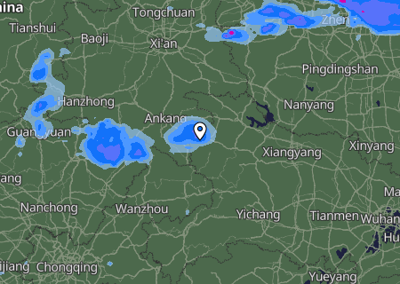 Niederschlagsprognose