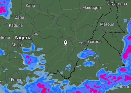 Niederschlagsprognose