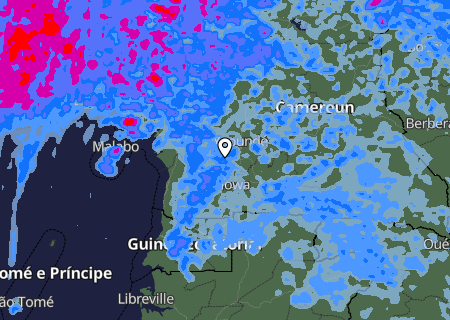 Niederschlagsprognose