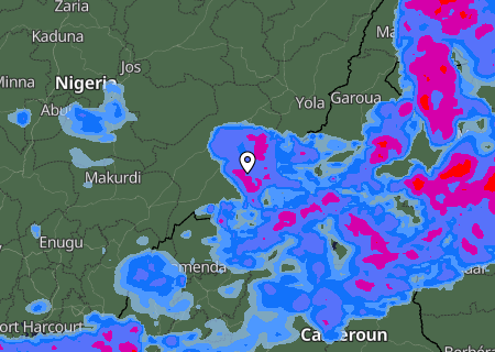 Niederschlagsprognose