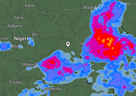 Niederschlagsprognose