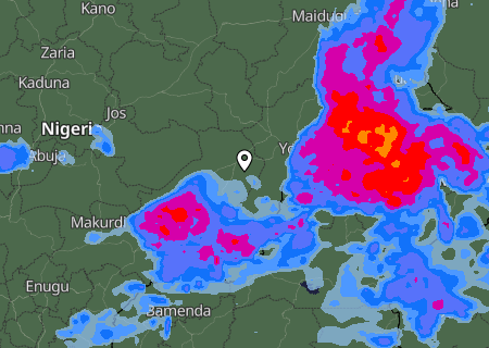 Niederschlagsprognose