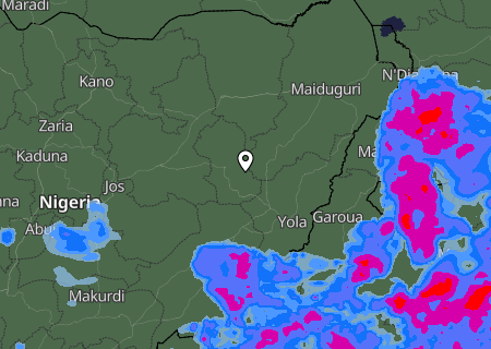 Niederschlagsprognose