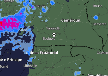 Niederschlagsprognose