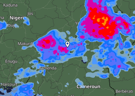 Niederschlagsprognose